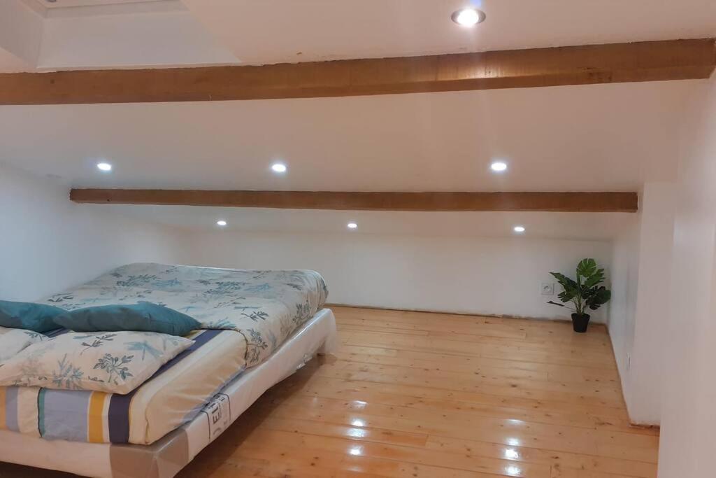 Appartement La Joie Dans Quartier Chic Pibrac المظهر الخارجي الصورة