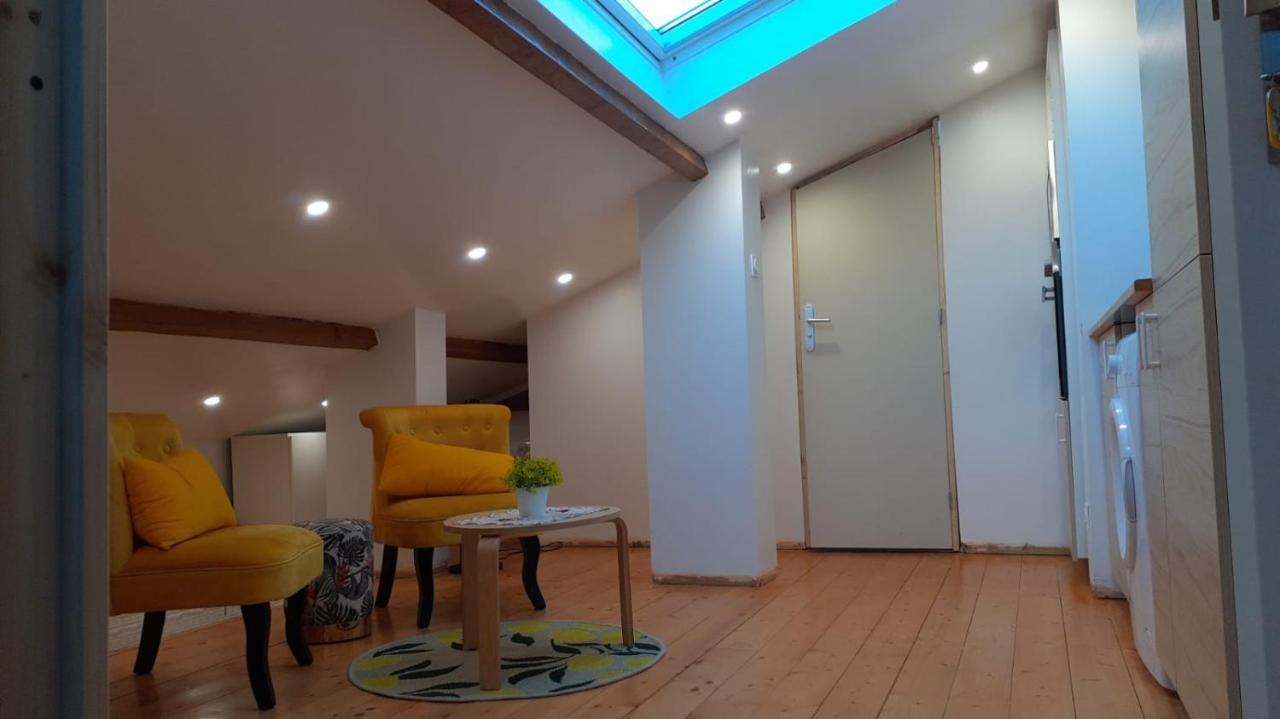 Appartement La Joie Dans Quartier Chic Pibrac المظهر الخارجي الصورة